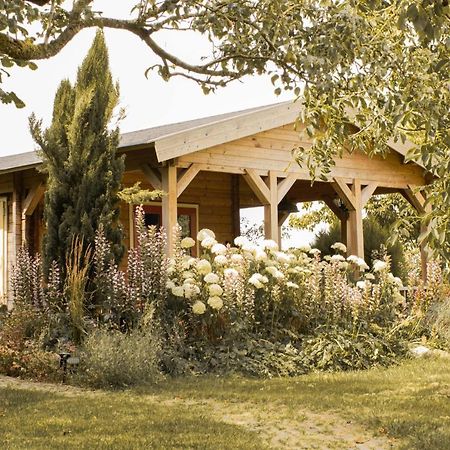 B&B Ben in Broek Benningbroek Exterior foto