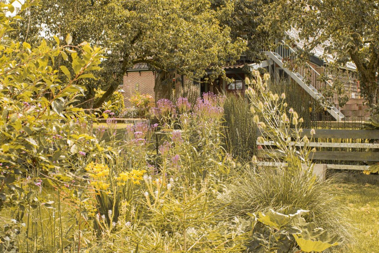 B&B Ben in Broek Benningbroek Exterior foto